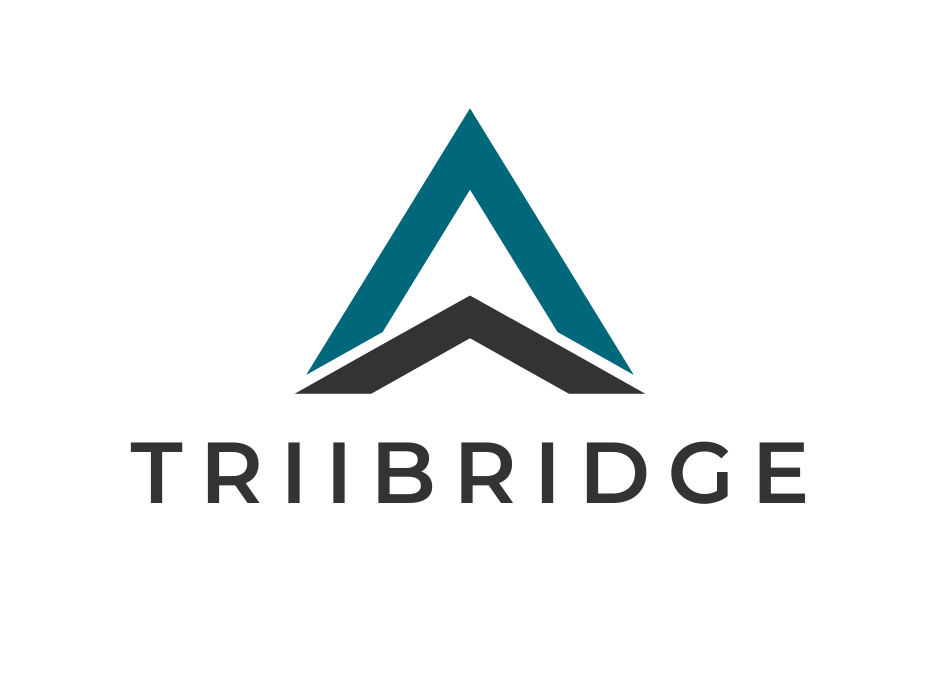 Triibridge LTD